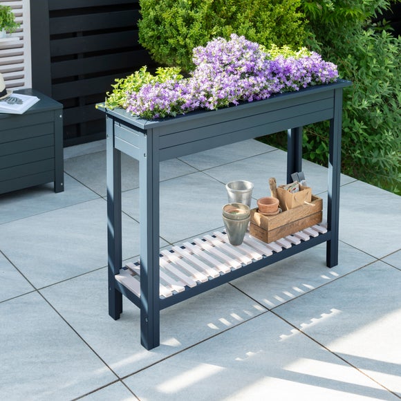 Galaxy Planter and Tray
