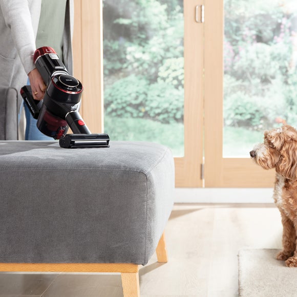 Ewbank Airstorm Cordless Pet Vacuum Cleaner