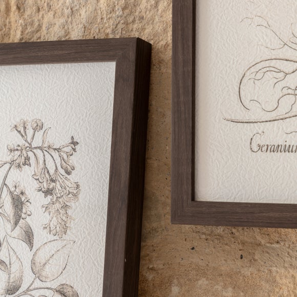Cedar & Sage Set of 3 Evergreen Framed Prints