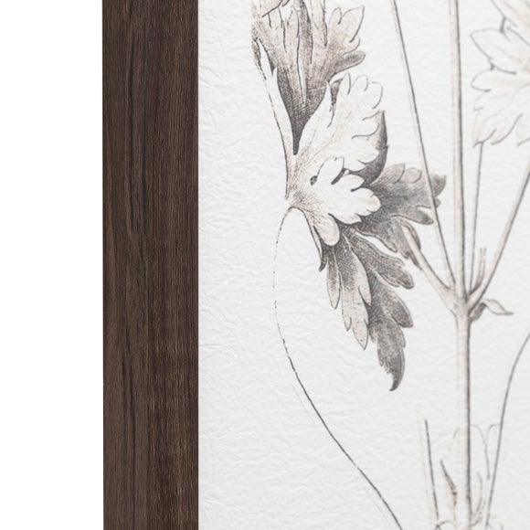 Cedar & Sage Set of 3 Evergreen Framed Prints