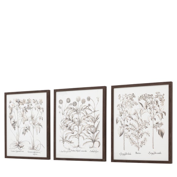Cedar & Sage Set of 3 Evergreen Framed Prints