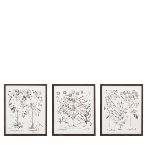 Cedar & Sage Set of 3 Evergreen Framed Prints