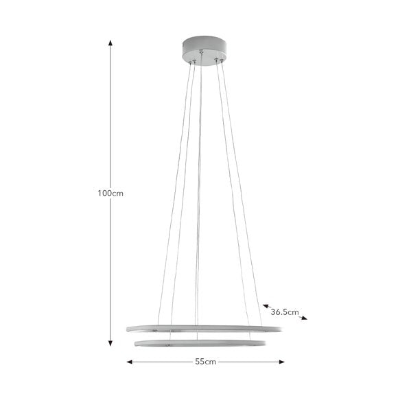 Puddle Double Hoop 2 Light Adjustable LED Ceiling Light