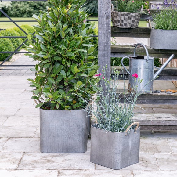 Set of 2 Outdoor Galvanised Rope Handle Square Planters